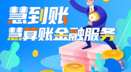 慧到账 专业代理记账服务，助力企业财税无忧